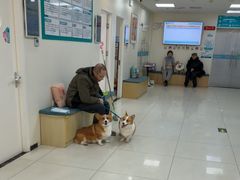 -美联众合动物医院·24h京西诊疗中心