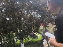 -后海彼岸花园餐厅