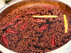 -枇杷园食为鲜火锅(南山店)
