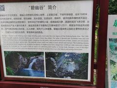 -东莞市大岭山森林公园