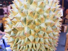 -双福水果批发市场