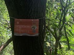 -广州市帽峰山景区