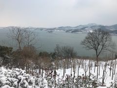 -天目湖涵田半山温泉