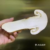 家 | 来自山野的馈赠（成都）