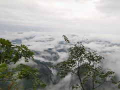 -张家界天门山国家森林公园