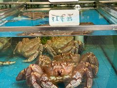-朝陽市場