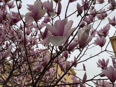 -刁四藤椒麻辣烫(武夷山路店)