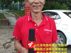 -从化深英荔枝黄皮龙眼采摘园
