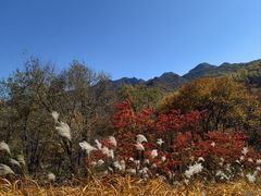 -玉渡山自然风景区