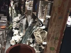 -老灶堂文创火锅(文艺路店)