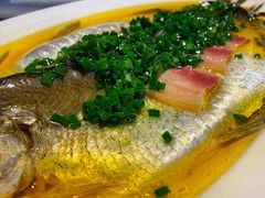 葱油蒸白水鱼-玫瑰厅上海菜(兴国路店)