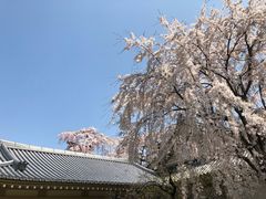 -醍醐寺