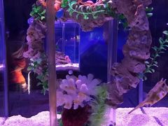 -太平洋海底世界