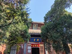 -洛阳白马寺