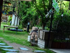 -北仑森林植物园