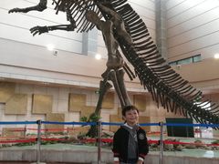 -诸城市恐龙博物馆