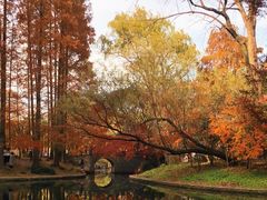 -绿荫坊餐厅(共青森林公园店)