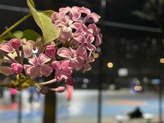 -回龙观体育文化公园