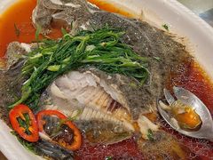 清蒸多宝鱼-虾饺妹·酒家(金碧店)