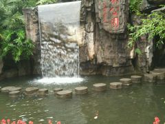 -广州市流溪河国家森林公园