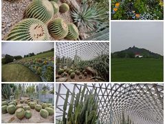 -上海辰山植物园