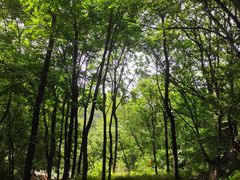 -北京上方山国家森林公园