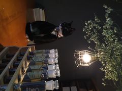 iphone_upload_pic-研途咖啡馆(健康路店)
