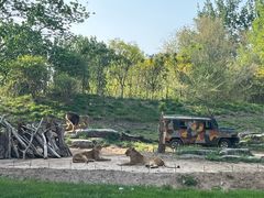 -北京野生动物园