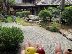 -陀岗美食·云南藏式特色餐厅