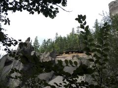 -峡谷浮石林景区