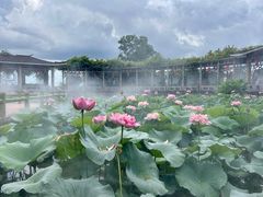 -广州莲花山旅游区