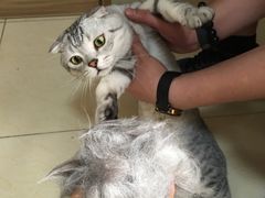 -巧云大馄饨(南阴阳营总店)