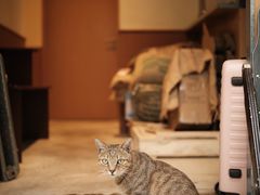-The Roastery By AllYouWant(福田店)