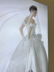 -金夫人婚纱摄影(总店)