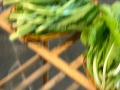 -蘑统田下·野生菌火锅