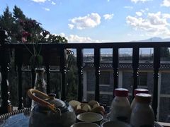 -蘑统田下·野生菌火锅
