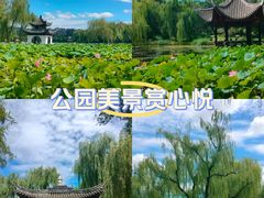 -陶然亭公园