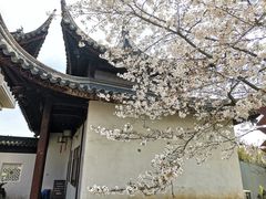 -苏州上方山国家森林公园