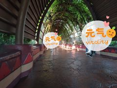 -厦门方特水上乐园