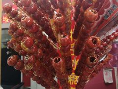 -和禄德冰糖葫芦