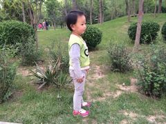 -迎泽公园