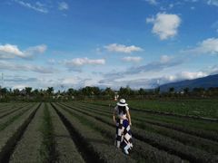 -翠田Green Field Kitchen