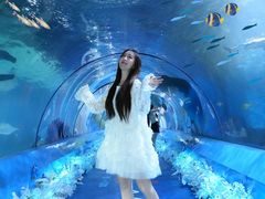 -重庆欢乐海底世界