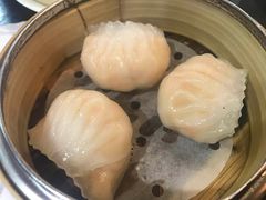 -糖朝(尖沙咀店)