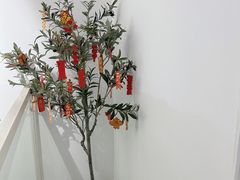 -一树一叶·福建茶档(石鼓路店)