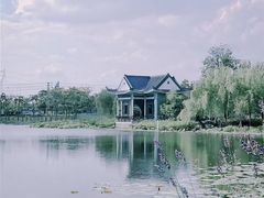 -映月湖公园