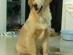 -21cake廿一客蛋糕