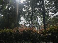 -Mezomd曼索蒂西班牙餐厅(广粤店)