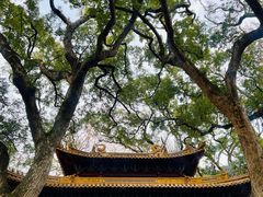 -普陀山风景名胜区-法雨禅寺