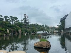 -罗红摄影艺术馆